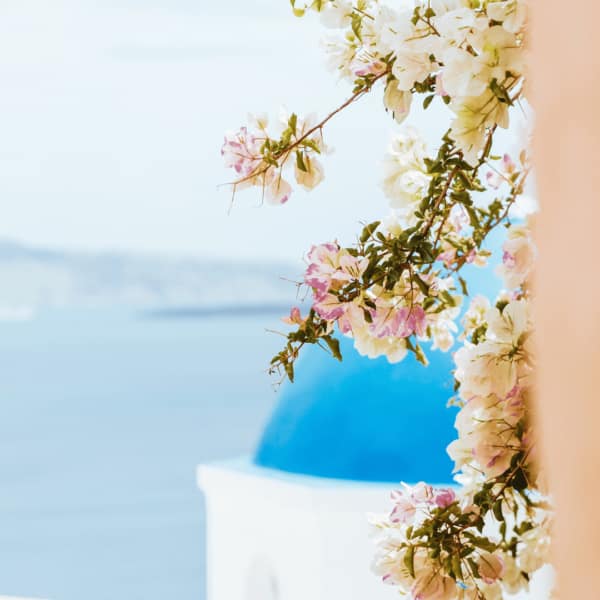 Island-Hopping in the Cyclades
